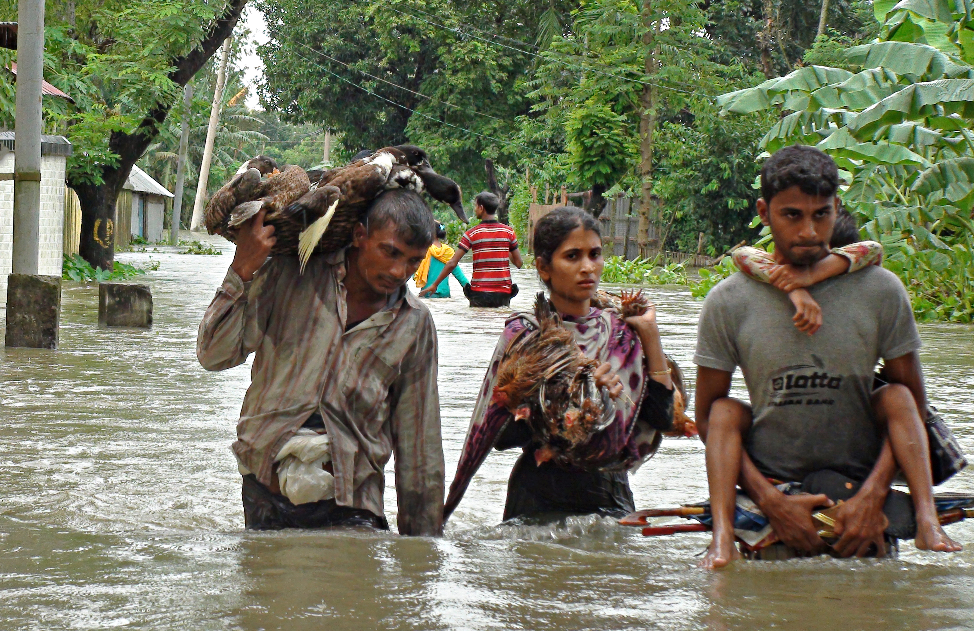flood img